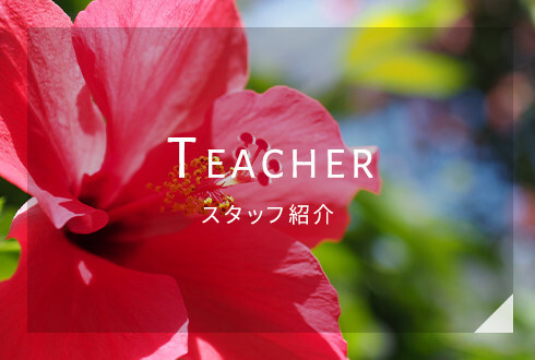 講師紹介