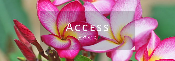 Access