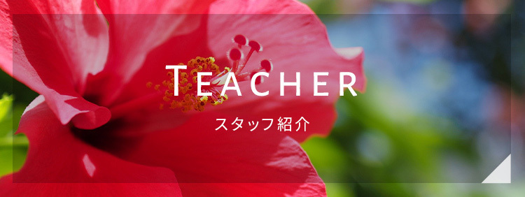 講師紹介