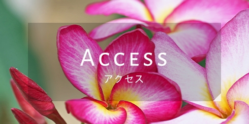 Access